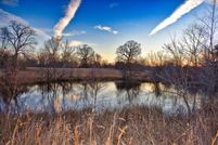 Undeveloped Land in Pushmataha County, Oklahoma
