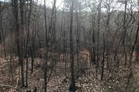 Farm and Ranch in Calhoun County, Alabama