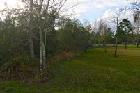 Undeveloped Land in Orange County, Florida