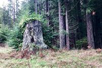 Recreational Property in Mendocino County, California
