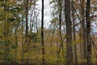 Timberland Property in Spartanburg County, South Carolina