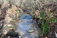 Undeveloped Land in Tallapoosa County, Alabama