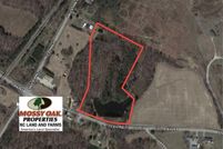 Timberland Property in Caswell County, North Carolina