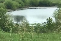 Farm and Ranch in Jackson County, Illinois