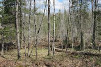 Undeveloped Land in Menominee County, Michigan