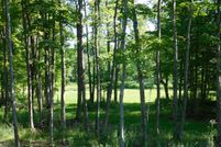 Undeveloped Land in Schoolcraft County, Michigan