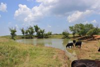 Land in Clay County, Texas