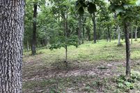 Undeveloped Land in Monroe County, Missouri