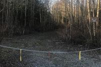 Undeveloped Land in Skagit County, Washington