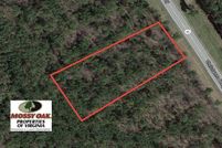 Undeveloped Land in Brunswick County, Virginia