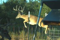 Farm and Ranch in Comanche County, Texas