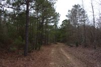 Undeveloped Land in Marion County, Texas