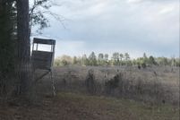Farm and Ranch in Edgefield County, South Carolina