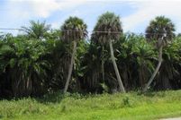 Undeveloped Land in Lee County, Florida