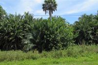 Undeveloped Land in Lee County, Florida