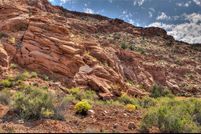 Undeveloped Land in Grand County, Utah