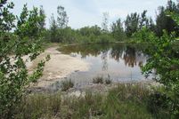 Undeveloped Land in Lee County, Florida