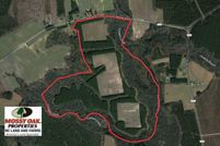 Hunting Property in Pitt County, North Carolina