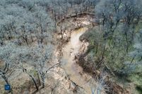 Hunting Property in Montague County, Texas