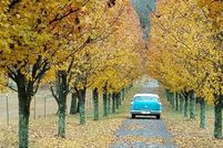 House in Towns County, Georgia