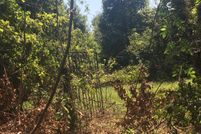 Land in Charleston County, South Carolina