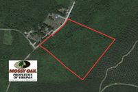 Timberland Property in Charlotte County, Virginia