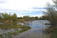 Land in Bosque County, Texas