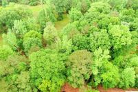 Land in Jackson Parish, Louisiana