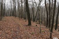 Timberland Property in Athens County, Ohio