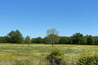 Undeveloped Land in Lamar County, Texas