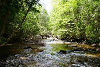 Land in Caledonia County, Vermont