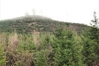 Undeveloped Land in Linn County, Oregon