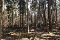 Land in Chenango County, New York