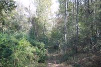 Undeveloped Land in Lamar County, Mississippi