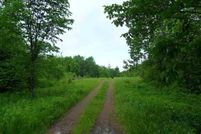 Undeveloped Land in Ontonagon County, Michigan