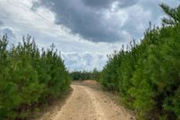 Undeveloped Land in Jones County, Mississippi