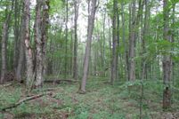 Recreational Property in Allegany County, New York