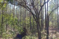 Land in Charleston County, South Carolina