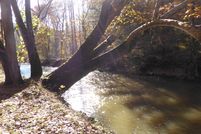Undeveloped Land in Franklin County, Virginia
