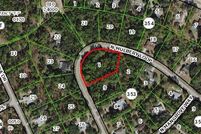 Undeveloped Land in Citrus County, Florida