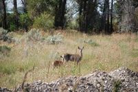 Homesite in Jefferson County, Idaho