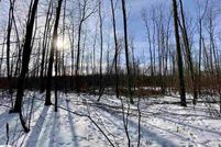 Undeveloped Land in Clare County, Michigan