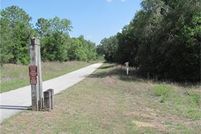 Undeveloped Land in Citrus County, Florida
