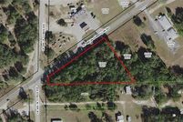 Undeveloped Land in Citrus County, Florida