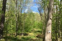 Undeveloped Land in Sullivan County, New York