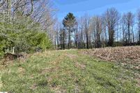 Undeveloped Land in Osceola County, Michigan