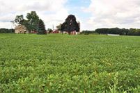 Undeveloped Land in Brown County, Wisconsin