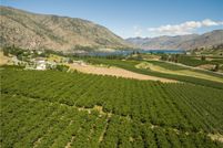 Undeveloped Land in Chelan County, Washington