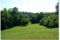 Undeveloped Land in Oktibbeha County, Mississippi