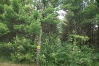 Undeveloped Land in Waupaca County, Wisconsin